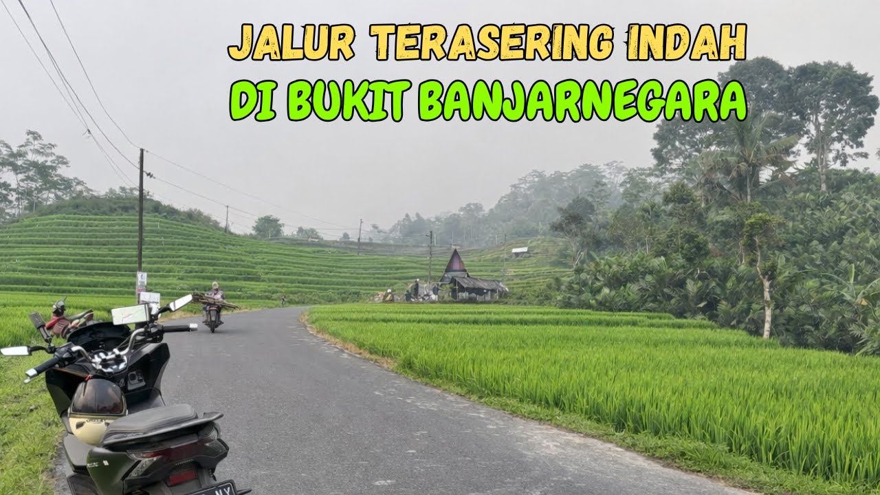 Kalibombong Banjarnegara: Jalur Terasering yang Memukau di Perbukitan Asri