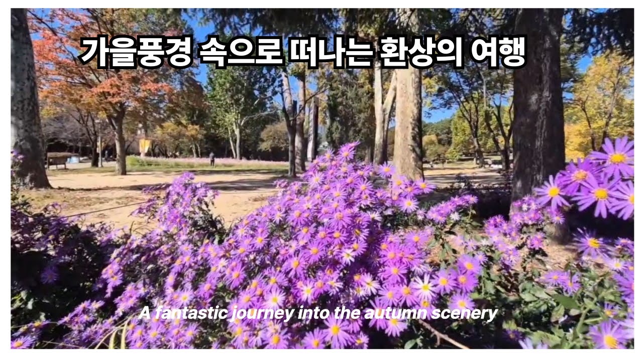 계절이 그린 환상의 풍경 속으로 여행/가을산책/나들이의성지