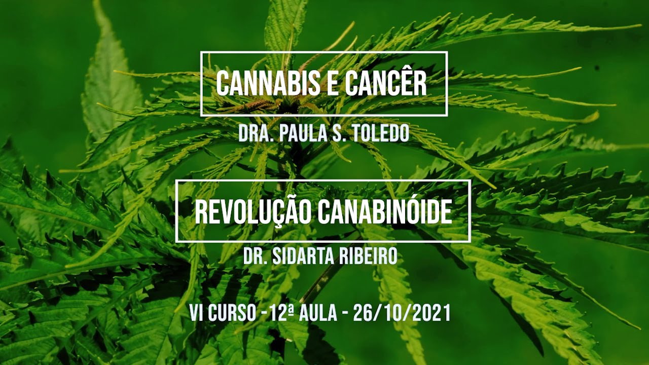 12ª Aula - Câncer - Dra. Paula Toledo / Revolução Canabinóide - Dr. Sidarta Ribeiro