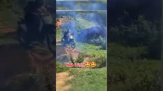 Ngetril Apa Ngetrol Bang Jokes Hiburan