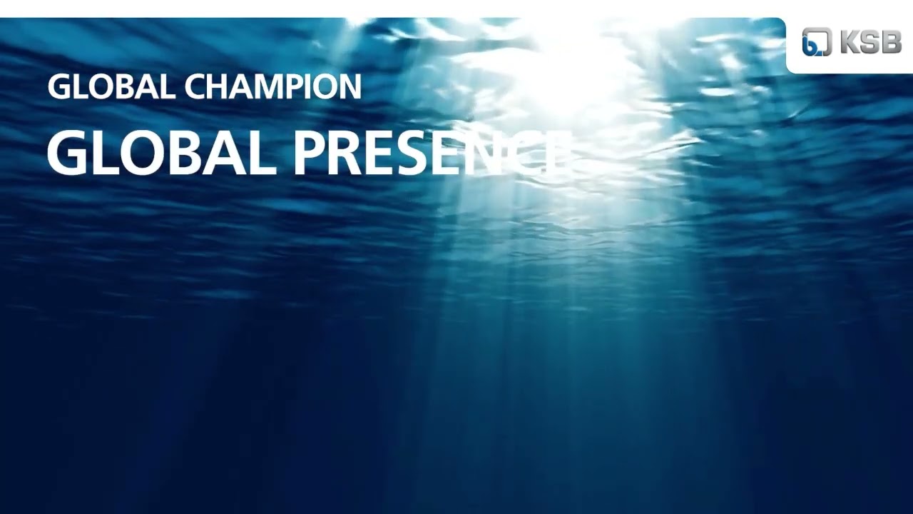 Global Presence. Local Expertise.