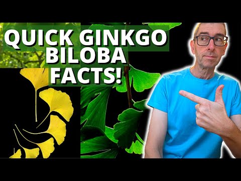 Video: Ginkgo - Isang Buhay Na Fossil
