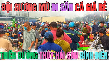 Supergoedkope vis en veel verse producten op de Binh Dien-markt || Vis-, garnalen- en inktvismark...
