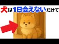 【9割が知らない!!】犬から見えている人間の世界は〇〇だった｜犬の厳選雑学
