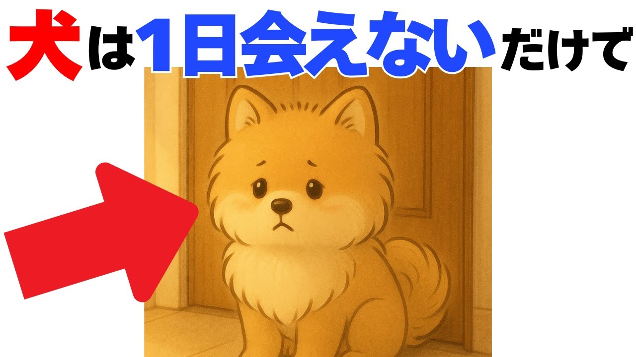 【9割が知らない!!】犬から見えている人間の世界は〇〇だった｜犬の厳選雑学