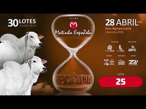 LOTE 25 RDM B6480