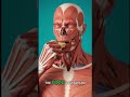 What Happens After You Swallow Food 😳#shorts #youtubeshorts #human