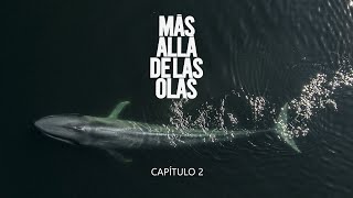 MÁS ALLÁ DE LAS OLAS - Capítulo 2