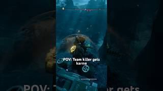 Team killer gets instant karma Helldivers 2 #helldivers2 #helldivers #karma #pk
