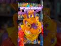 Save the Bees! Did you have TMNT Mega Mutant Killer Bee #tmnt #toys #collection #nostalgia #vintage