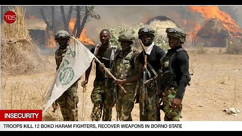 News 360 | Insecurity: Troops Kill 12 Boko Haram Fighters, Recover Weapons In Borno State