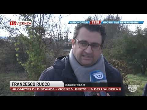 TG VICENZA Edizione completa | 03/03/2023