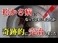 【松かさ病】治療開始から完治まで 薬餌と塩水浴【金魚】