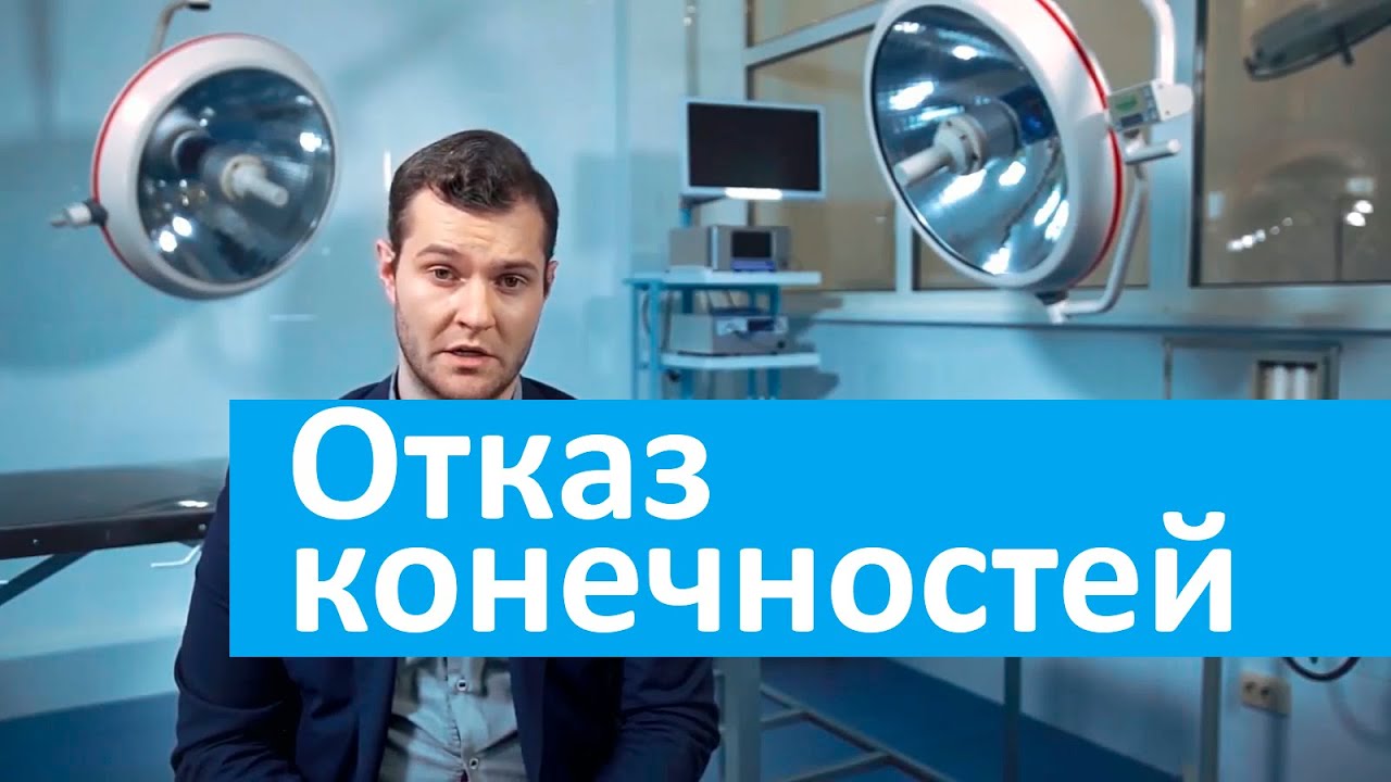 Отказ конечностей у животных. Ветеринарная клиника Свой Доктор об отказе конечностей у животных