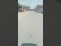 welcome to pakistan❣️