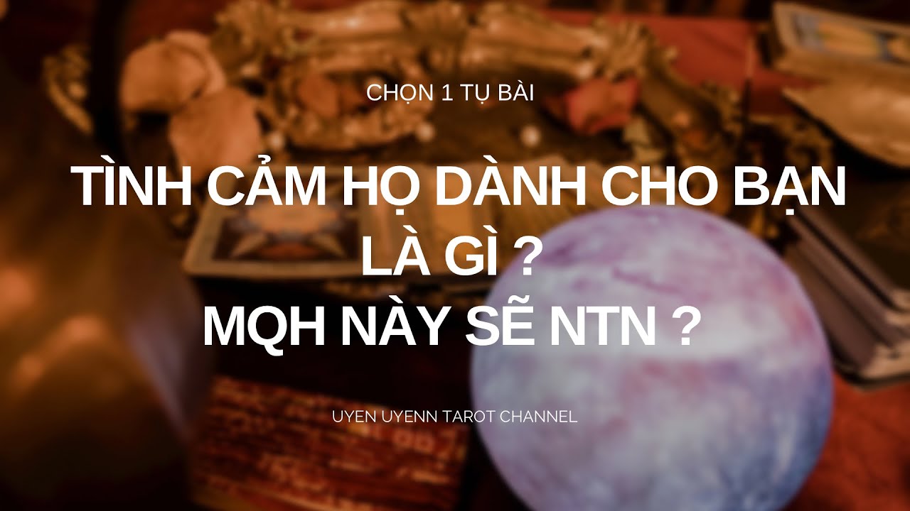 Chọn 1 Tụ Bài - Tình cảm họ dành cho bạn là gì ? Mối quan hệ sẽ như thế nào trong tương lai ?