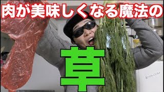 肉を美味しくしてダイエット効果もある魔法の草を買ってみたら衝撃的すぎた！！