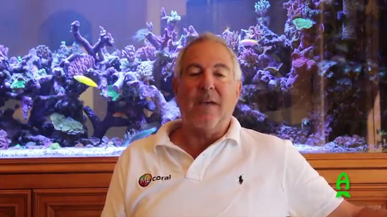 Reef2Reef Episode 15: Harmful Trace Metals? Tank Crashes? Look here.