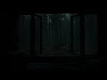 Peaceful Rainy Window Scene with Forest View for Deep Sleep and Quiet Nights