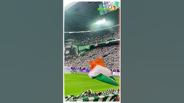 Top 5 Tifo ấn tượng nhất châu Âu mùa giải 24/25 #shorts | Bongda24h Official