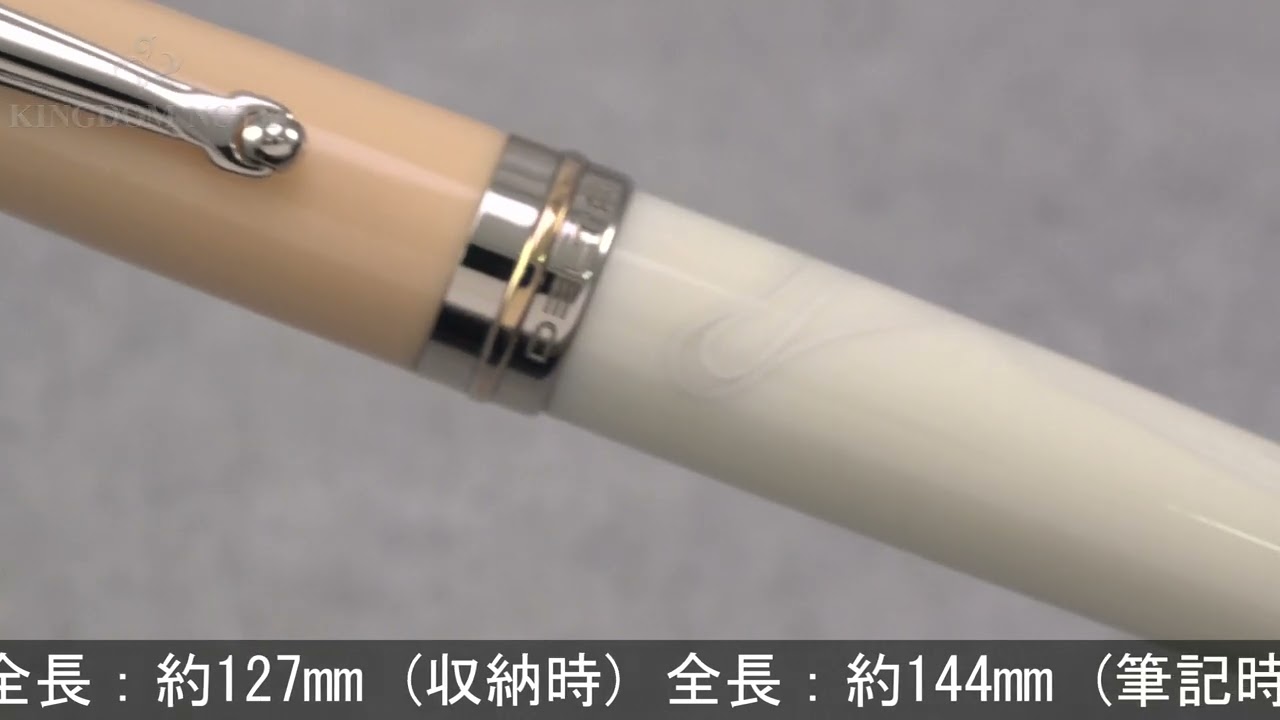 DELTA デルタ 万年筆 ビンテージコレクション ジェンティーレ ドンナ F