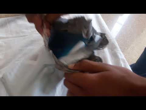Unboxing LEARN PYTHON : THE HARD WAY