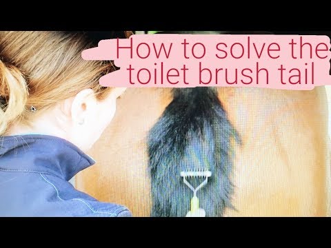 COMMENT FIXER UN WC BROSSE QUEUE! TOP CONSEILS vendredi