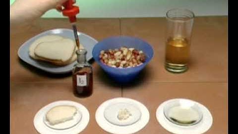 Iodine Test for Starch