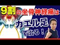 【坐骨神経痛 改善】9割の坐骨神経痛は”カエル足”で治る!