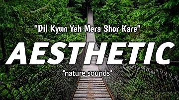 Aesthetic - Dil Kyun Yeh Mera Shor Kare | Nature Sounds | Relaxing - Rain | Music Nation x