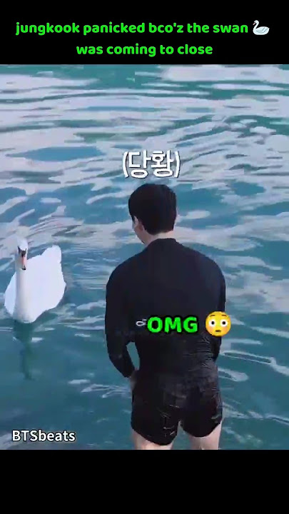 jungkook panicked bco'z the swan 🦢 was coming to close 😂 #bts