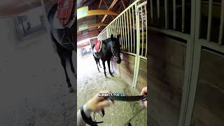 Grwm & Porter for a rainy day ride!🤗 #fyp #pov #grwm #tackup #horsegirl