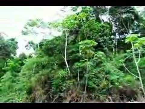 Yorenka Ãtame Ashaninkas