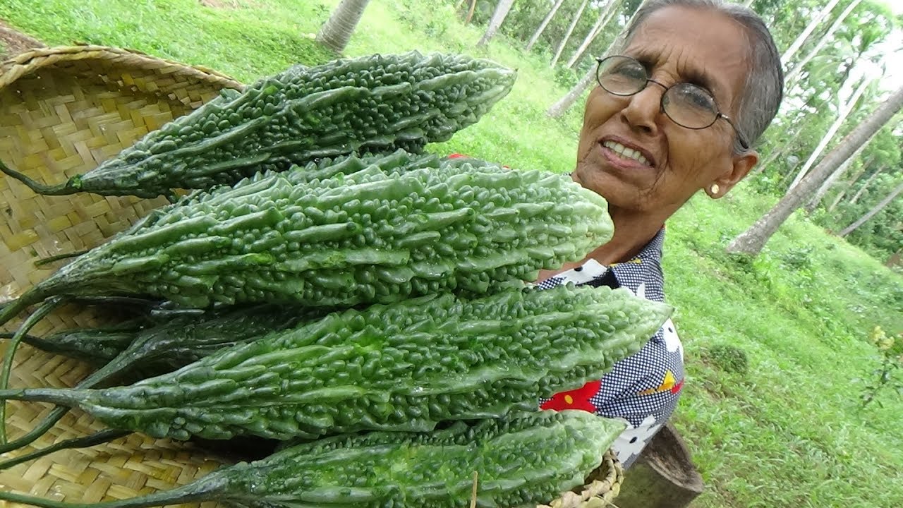 Bitter Gourd Masala Curry ❤ Healthy Village Food by Grandma | Village Life