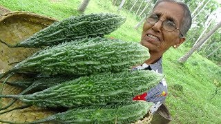 Bitter Gourd Masala Curry ❤ Healthy Village Food by Grandma | Village Life