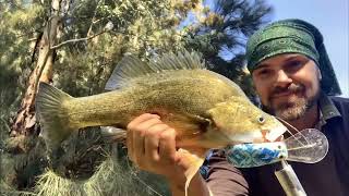 Murray Cod Fishing, Golden Perch, Trout Cod ; Bad start, Wicked finish on our Freshwater Native fish