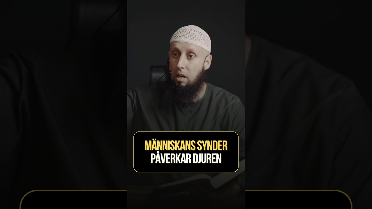 Människans synder påverkar djuren!