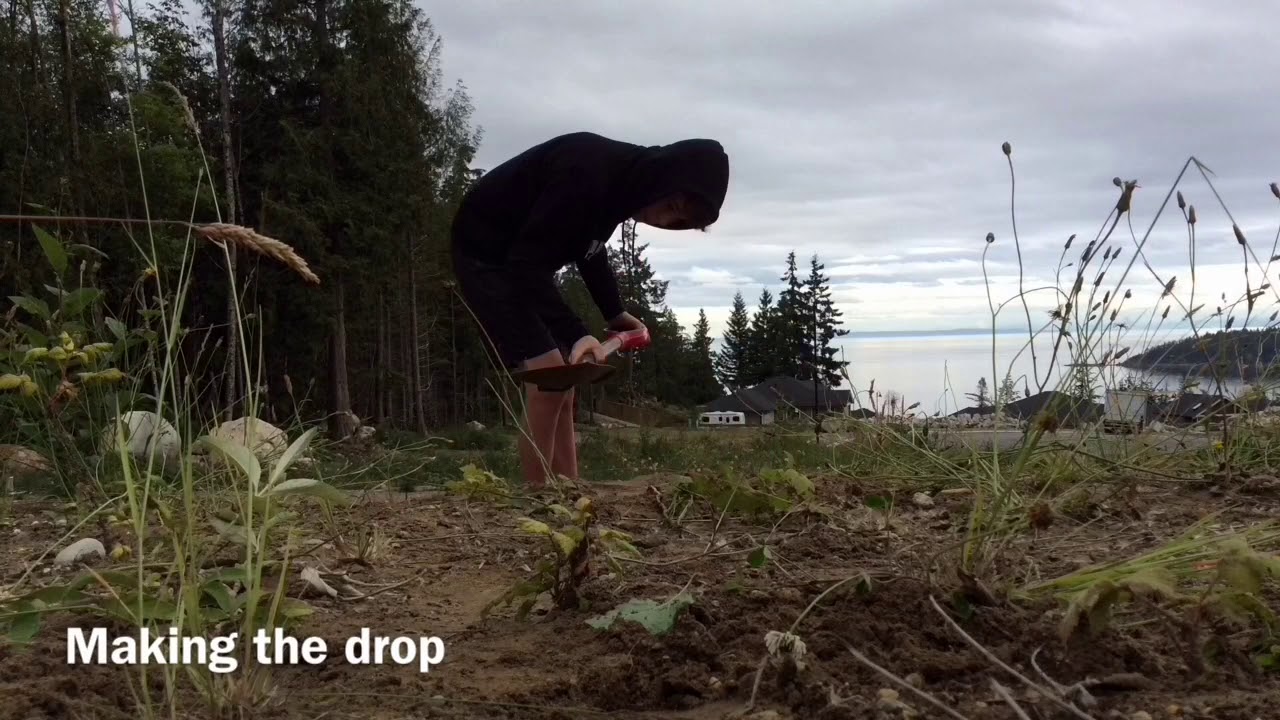 Mtb trail building fun easy features to build in your own back yard