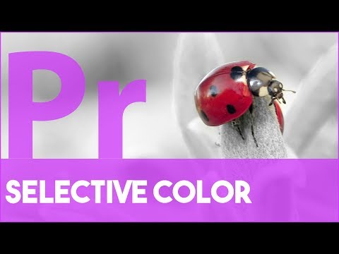 Selective Color in Premiere Pro