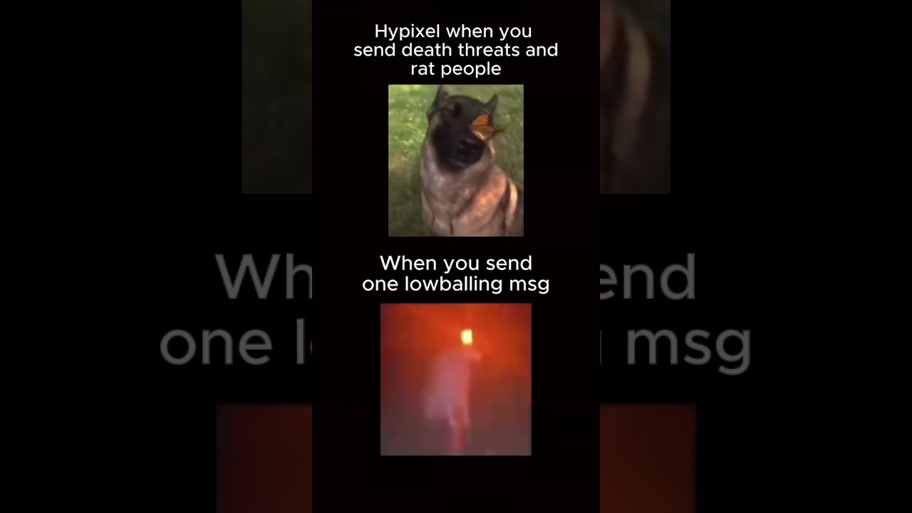 Watchdog Be Like | Hypixel Skyblock 