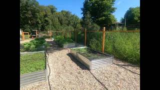 Burying the main waterlines DIG Irrigation Dripline System - Food Forest Abundance Minnesota