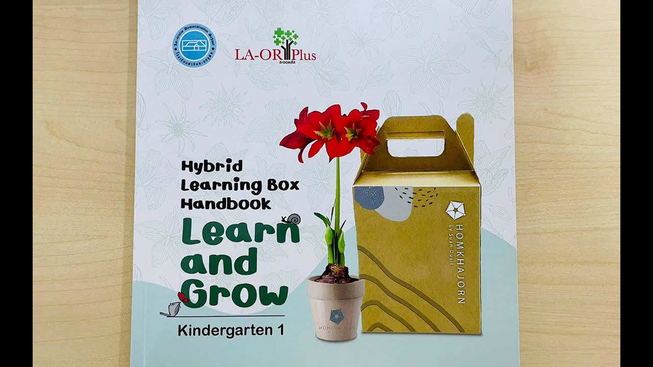 Hybrid Learning Box (Learn and Grow)