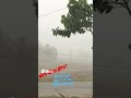 Harna nahi sikha hai