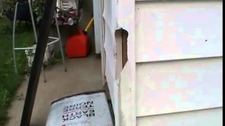 Siding Repair on the Cheap