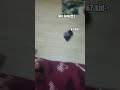 fake jump2💀