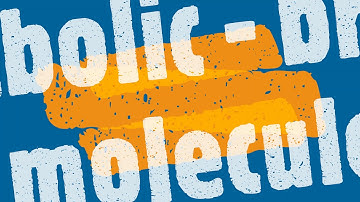 Stop Motion Enzyme Reactions Compilation