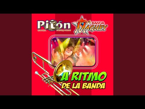 Banda Maguey - Si Tu No Estas