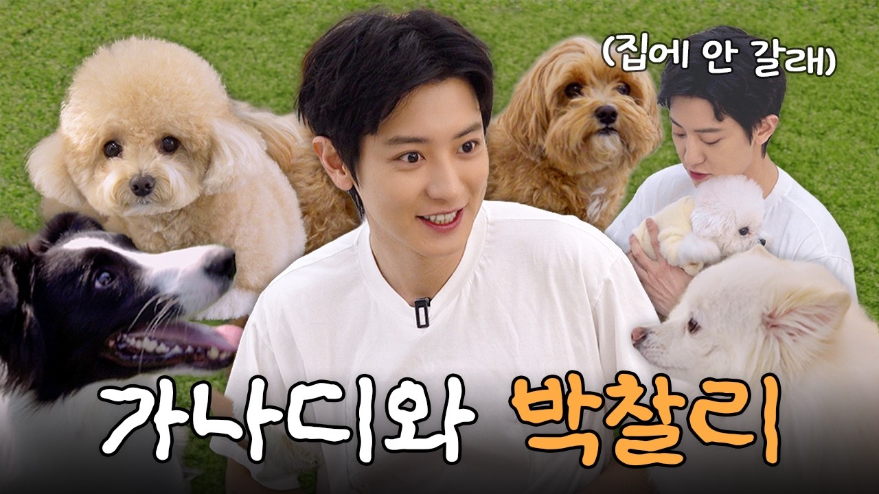 EXO Chanyeol - Chanyeol's One-Day Part-Time Experience at a Dog