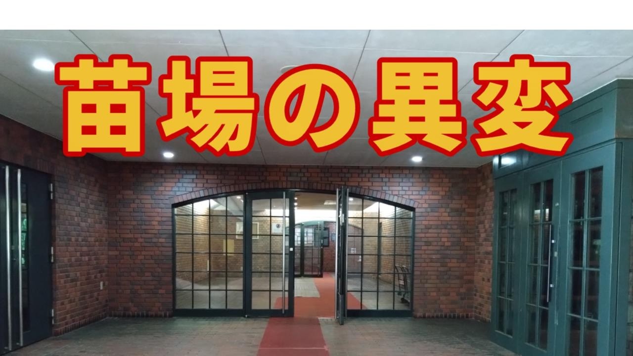 フジロックに最適‼️苗場プリンスホテルから30分のリゾートマンション