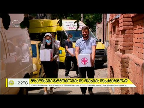 მოხალისეები მარტოხელების და ოჯახების დასახმარებლად